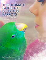 Eclectus Parrot Book The Ultimate Guide to Eclectus Parrots