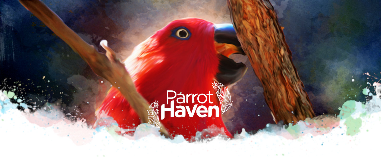 Eclectus Parrot Breeders